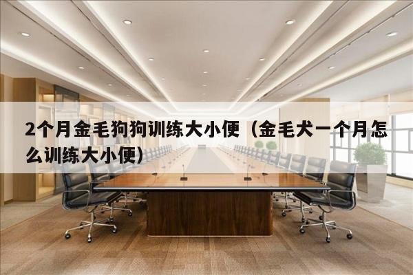 2个月金毛狗狗训练大小便（金毛犬一个月怎么训练大小便）