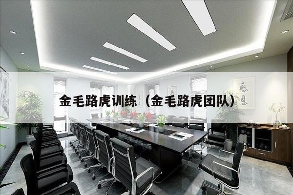 金毛路虎训练（金毛路虎团队）