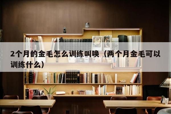 2个月的金毛怎么训练叫唤（两个月金毛可以训练什么）