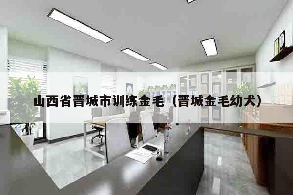 山西省晋城市训练金毛（晋城金毛幼犬）