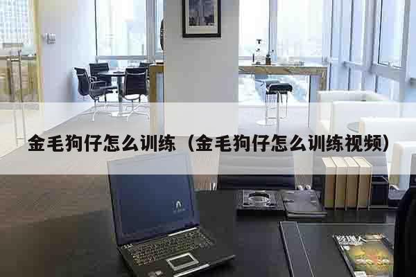 金毛狗仔怎么训练（金毛狗仔怎么训练视频）