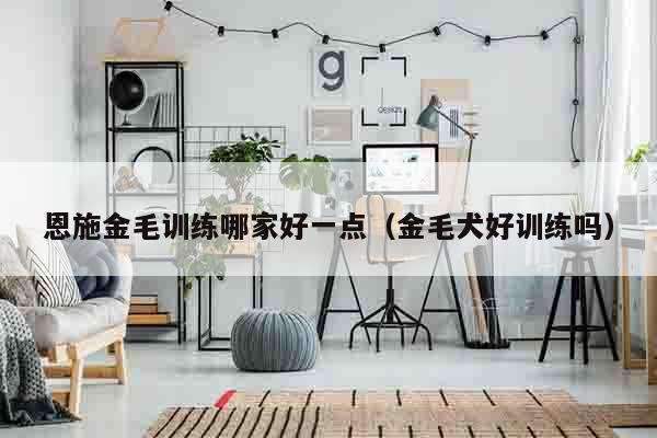恩施金毛训练哪家好一点（金毛犬好训练吗）