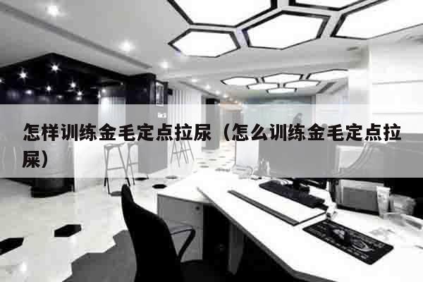 怎样训练金毛定点拉尿（怎么训练金毛定点拉屎）