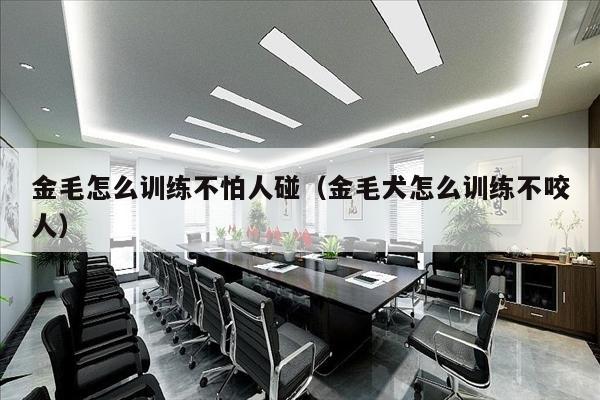 金毛怎么训练不怕人碰（金毛犬怎么训练不咬人）