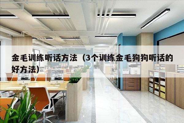金毛训练听话方法（3个训练金毛狗狗听话的好方法）