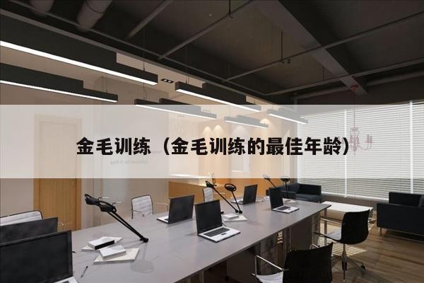 金毛训练（金毛训练的最佳年龄）
