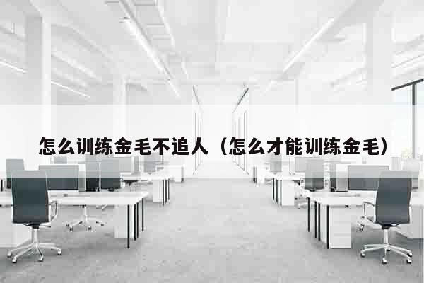 怎么训练金毛不追人（怎么才能训练金毛）