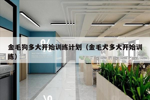 金毛狗多大开始训练计划（金毛犬多大开始训练）