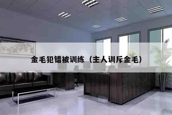 金毛犯错被训练（主人训斥金毛）