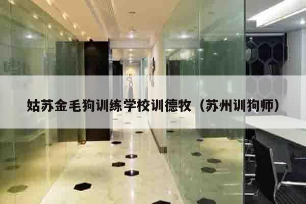 姑苏金毛狗训练学校训德牧（苏州训狗师）