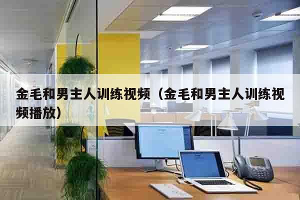 金毛和男主人训练视频（金毛和男主人训练视频播放）