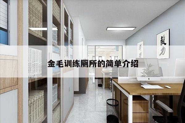 金毛训练厕所的简单介绍