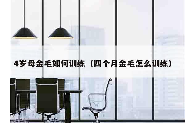 4岁母金毛如何训练（四个月金毛怎么训练）