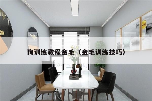 狗训练教程金毛（金毛训练技巧）