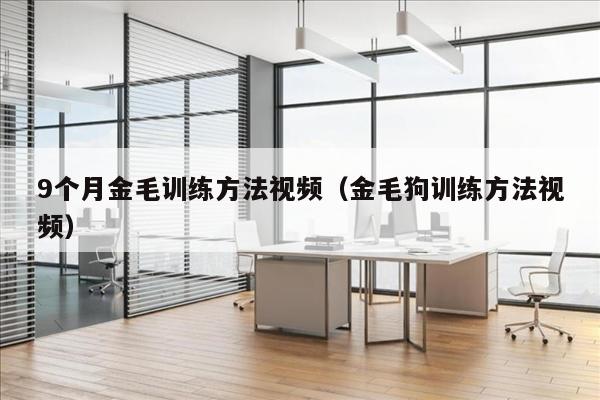 9个月金毛训练方法视频（金毛狗训练方法视频）