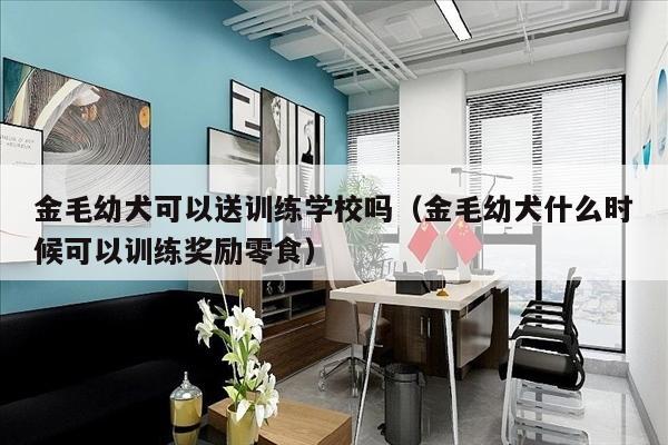 金毛幼犬可以送训练学校吗（金毛幼犬什么时候可以训练奖励零食）