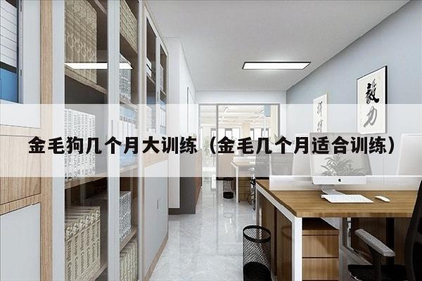 金毛狗几个月大训练（金毛几个月适合训练）