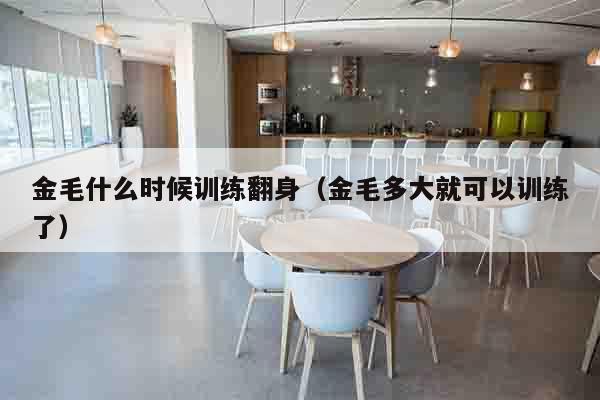金毛什么时候训练翻身（金毛多大就可以训练了）