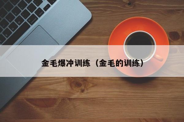 金毛爆冲训练（金毛的训练）