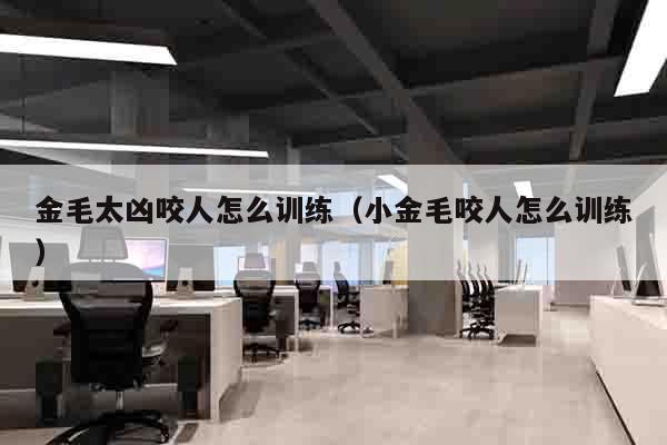金毛太凶咬人怎么训练（小金毛咬人怎么训练）
