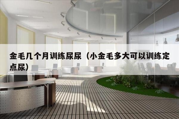 金毛几个月训练尿尿（小金毛多大可以训练定点尿）