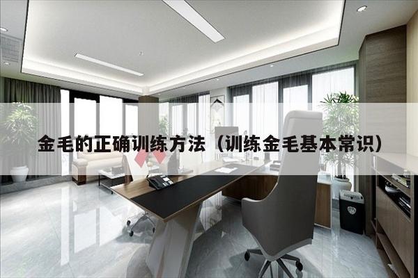金毛的正确训练方法（训练金毛基本常识）