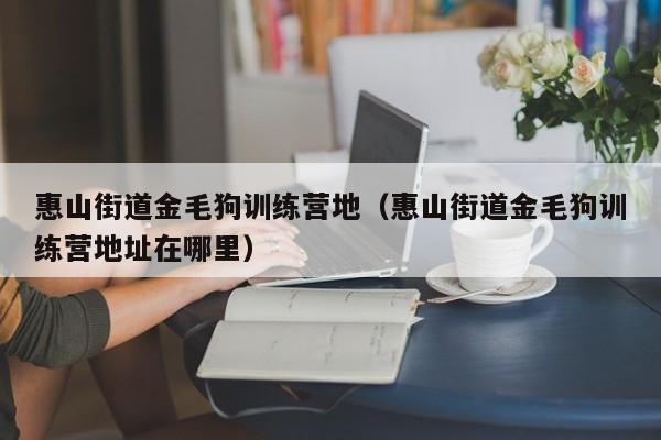 惠山街道金毛狗训练营地（惠山街道金毛狗训练营地址在哪里）
