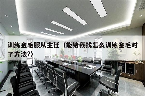 训练金毛服从主任（能给我找怎么训练金毛对了方法?）