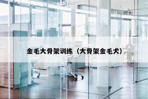 金毛大骨架训练（大骨架金毛犬）