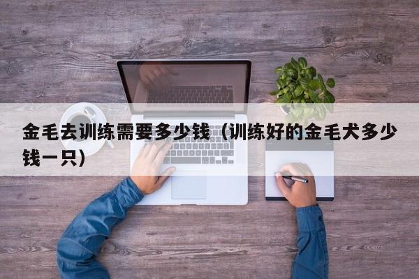金毛去训练需要多少钱（训练好的金毛犬多少钱一只）