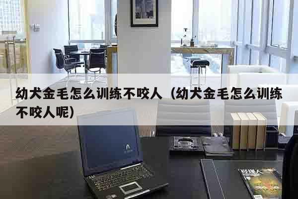 幼犬金毛怎么训练不咬人（幼犬金毛怎么训练不咬人呢）