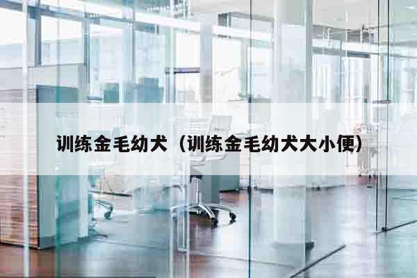 训练金毛幼犬（训练金毛幼犬大小便）