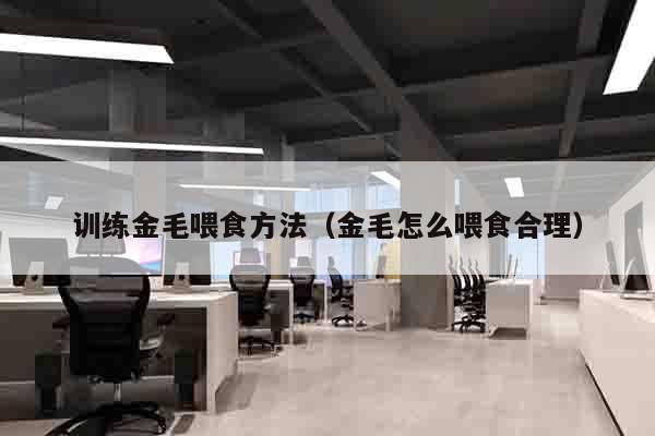 训练金毛喂食方法（金毛怎么喂食合理）