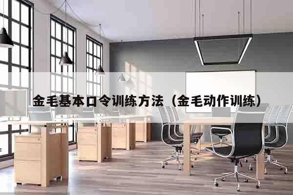 金毛基本口令训练方法（金毛动作训练）