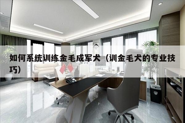 如何系统训练金毛成军犬（训金毛犬的专业技巧）