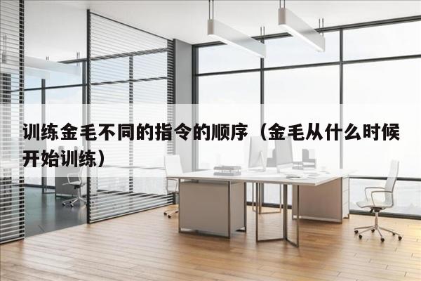 训练金毛不同的指令的顺序（金毛从什么时候开始训练）