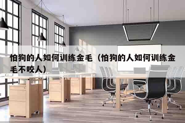 怕狗的人如何训练金毛（怕狗的人如何训练金毛不咬人）