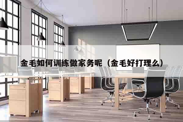 金毛如何训练做家务呢（金毛好打理么）