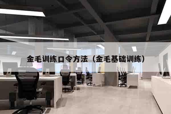 金毛训练口令方法（金毛基础训练）