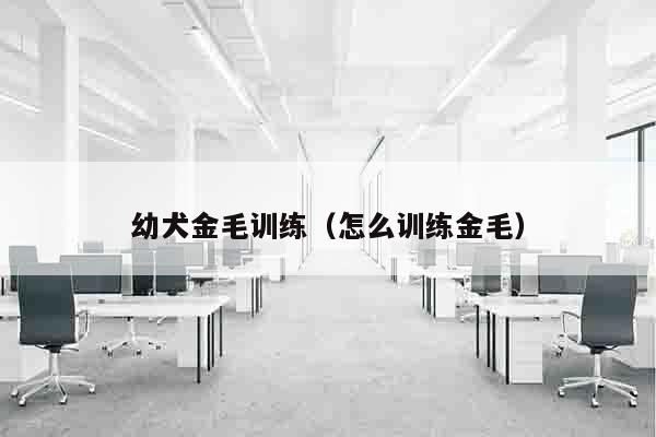幼犬金毛训练（怎么训练金毛）