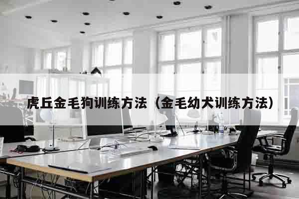 虎丘金毛狗训练方法（金毛幼犬训练方法）