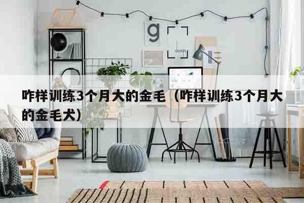 咋样训练3个月大的金毛（咋样训练3个月大的金毛犬）