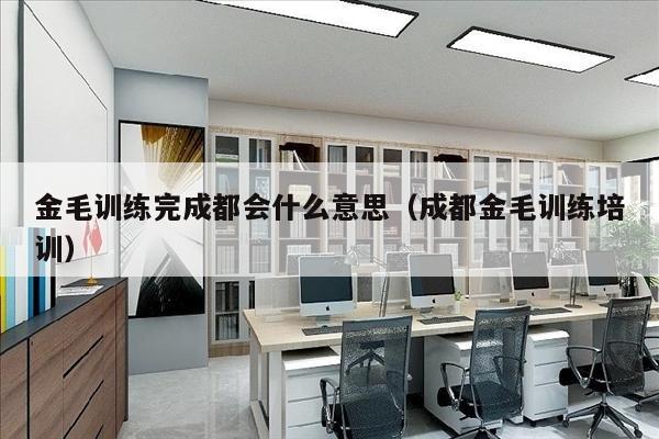 金毛训练完成都会什么意思（成都金毛训练培训）