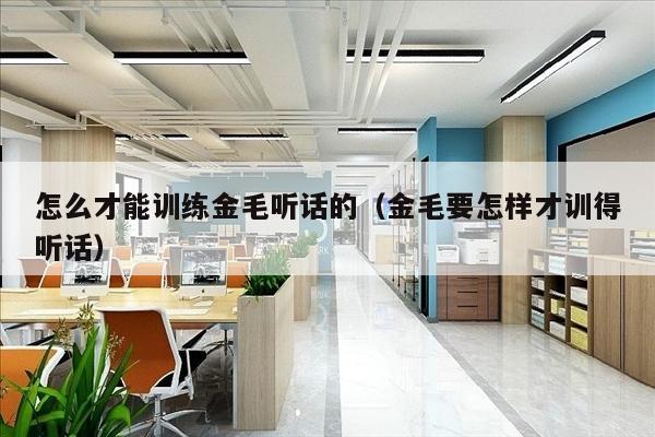 怎么才能训练金毛听话的（金毛要怎样才训得听话）
