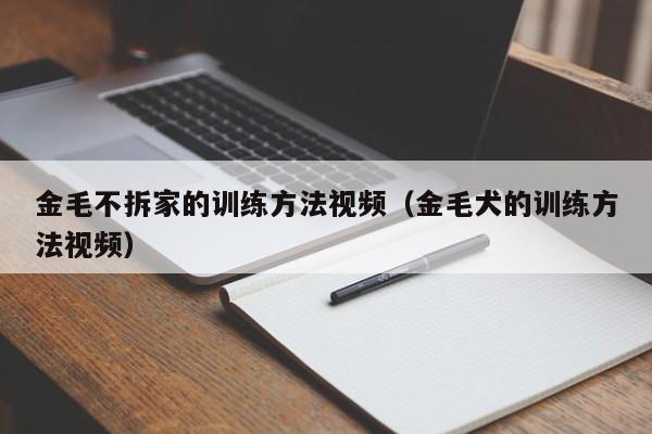 金毛不拆家的训练方法视频（金毛犬的训练方法视频）