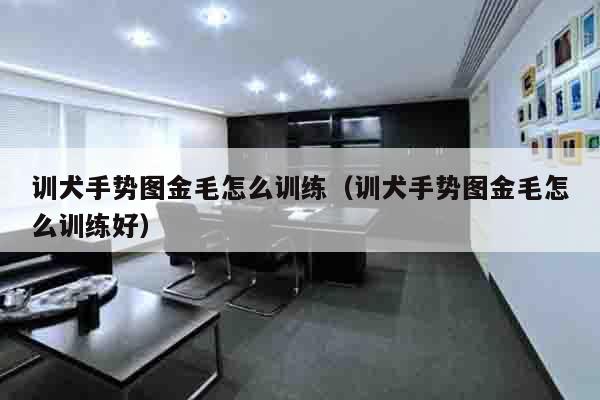 训犬手势图金毛怎么训练（训犬手势图金毛怎么训练好）