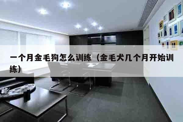 一个月金毛狗怎么训练（金毛犬几个月开始训练）