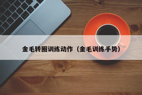 金毛转圈训练动作（金毛训练手势）