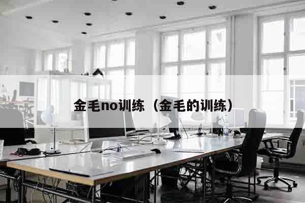 金毛no训练（金毛的训练）