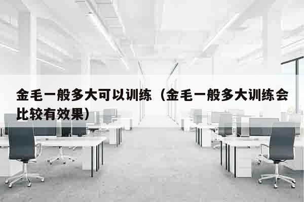 金毛一般多大可以训练（金毛一般多大训练会比较有效果）